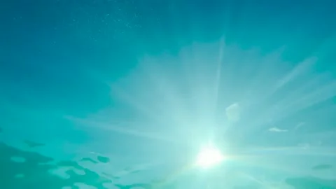 Underwater sun view Video stock 231365579
