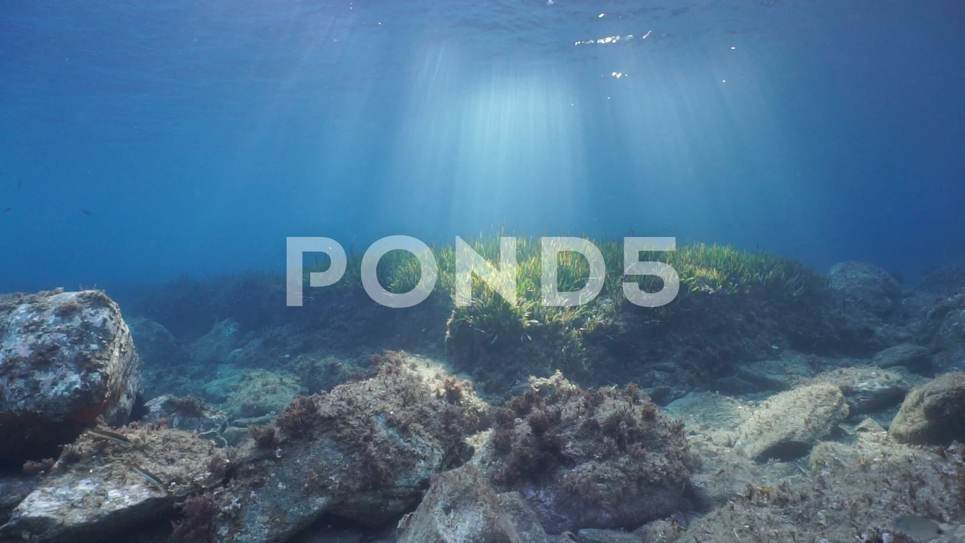 Rays of sunlight underwater with sandy seabed Mediterranean sea