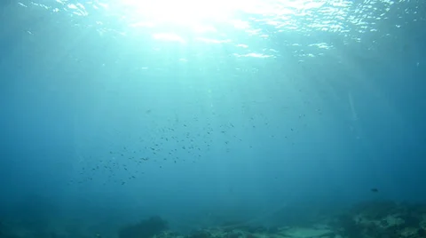 Underwater sunburst Видео 33867780