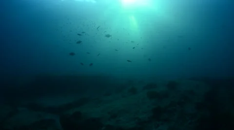 Underwater sunburst Stock Footage 33871515