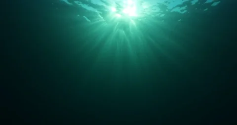 Underwater Sunburst Stock Footage 115046109