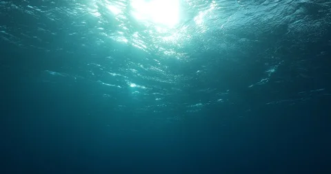 Underwater Sunburst Stock Footage 125775847