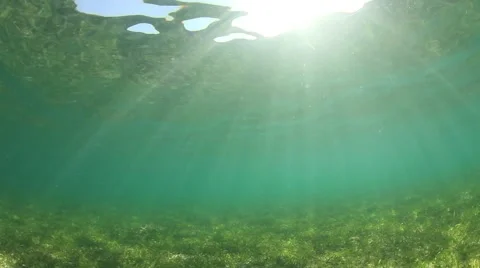 Underwater sunlight Stock Footage 65449623