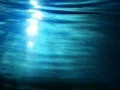 Underwater Sunlight HS 03 Loop Slow Motion x7 Web Footage