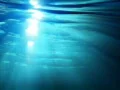 Underwater Sunlight HS 04 Loop Slow Motion x7 Web Footage