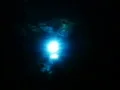 Underwater Sunlight HS 05 Loop Slow Motion x7 Web Footage