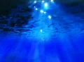 Underwater Sunlight Loop Web Footage