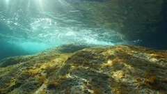 Underwater Sunlight Rocky Seabed Mediterranean Sea Stock Image