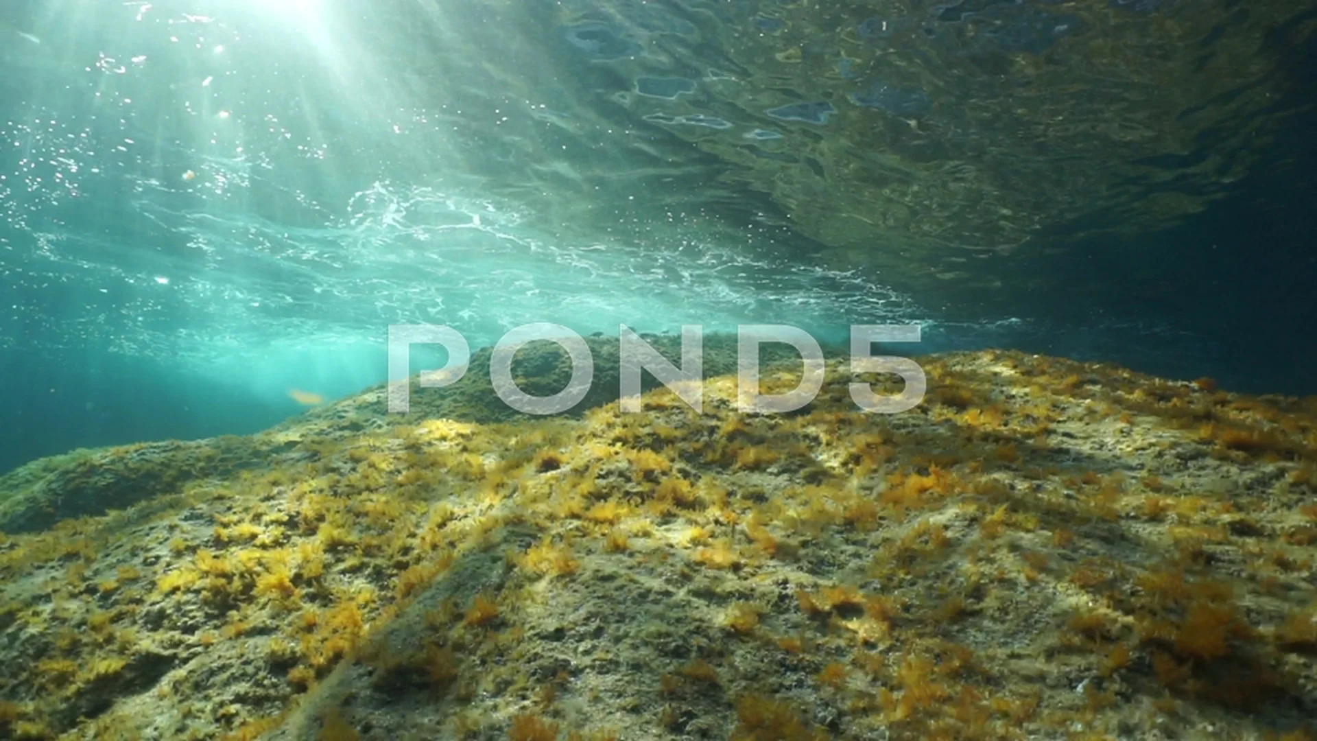 Underwater Sunlight Rocky Seabed Mediterranean Sea Stock Image