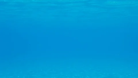 Underwater sunny bottom Stock Footage 91662656