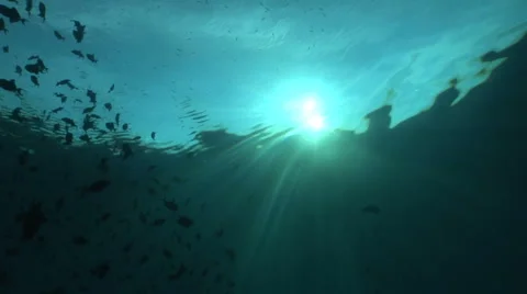 Underwater Sunshine beam Stock Footage 56792435