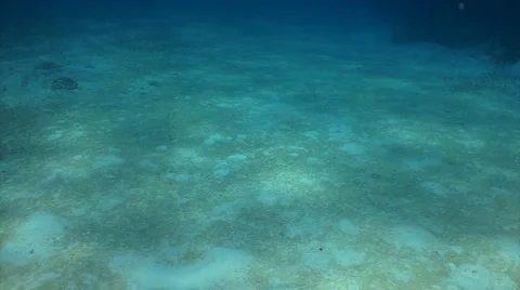 Underwater surface and sand Stock Footage 3134365