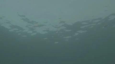 Underwater surface shot Stock Footage 233882790