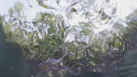Underwater surface shot going down to the bottom of the mangroves 4K Stock Footage 299921199
