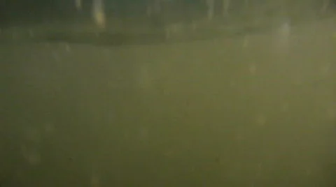 Underwater swimming Stock Footage 693902