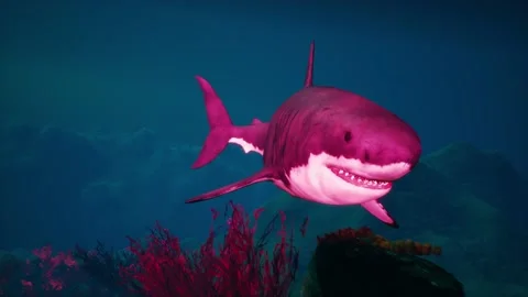 Underwater Temple, Shark, Bubbles, Stone Columns, Corals, Fish 3D Animations Stock Footage 231688571