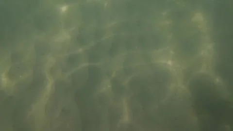 Underwater texture Video stock 331793950