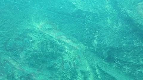 Underwater Texture with Natural Patterns Stock Footage 313834951