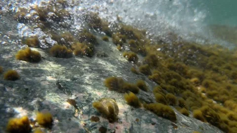 Underwater tidal wave moves above a rock creating air bubbles beneath the ocean Stock Footage 335533715