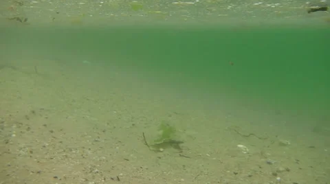 Underwater tide Video stock 33651151