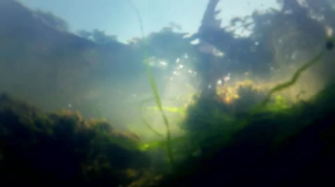 Underwater, Tide Pool, Video looking at Sky Stock Footage 40432114