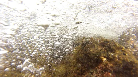 Underwater Tidepool Video stock 32167974