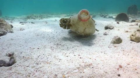 Underwater trash plastic bottle in the sand Stock Footage 146717181