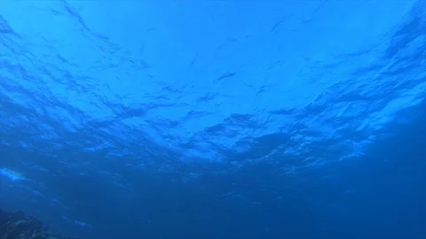 Underwater Tropical Blue Sea Stock Footage