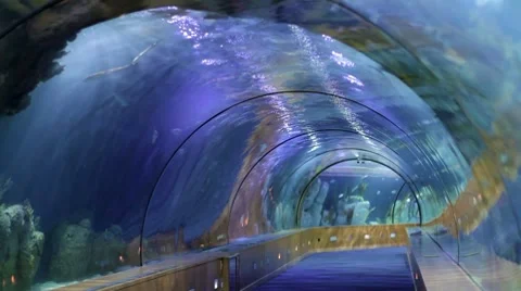 Underwater Tunnel 库存影片 7759517