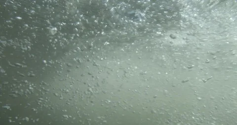 Underwater turbulence from bubbles below the surface of a river in slow motion 스톡 동영상 114110957