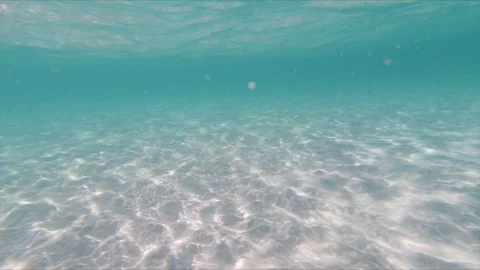 Underwater in turquoise shallow waters Видео 104301680