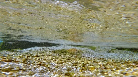 Underwater unique bubbles landscape and algae Stock Footage 170132555