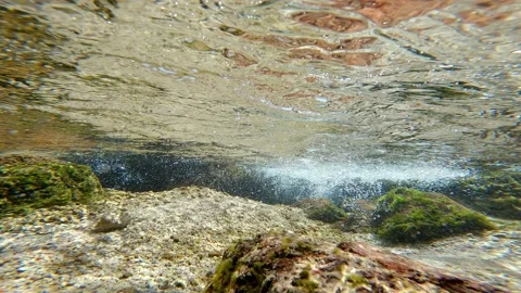 Underwater unique bubbles landscape and algae Stock Footage 170133808