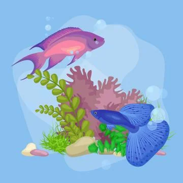 Underwater vector world background with fish, seaweed and bubbles Stock Illustration