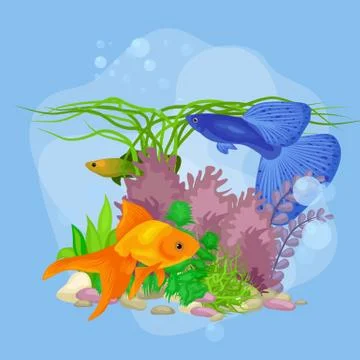 Underwater vector world background with fish, seaweed and bubbles Stock Illustration