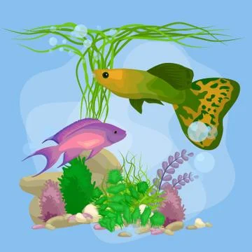 Underwater vector world background with fish, seaweed and bubbles Stock Illustration
