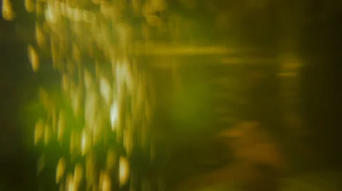 Underwater video background Stock Footage 22979931