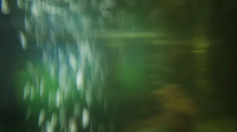 Underwater video background Stock Footage 22980582