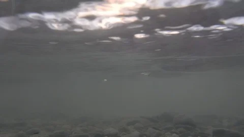 Underwater video of a fast river stream Stock Footage 95550095