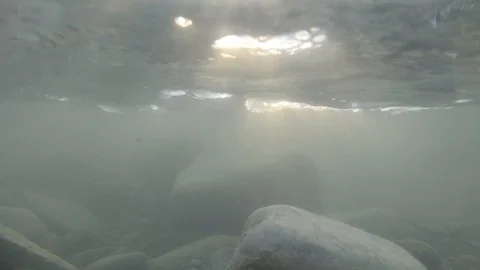 Underwater video of a fast river stream 스톡 동영상 95550135