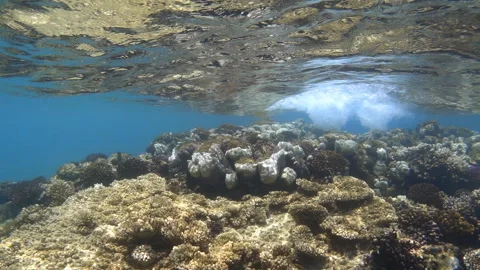 Underwater video of sea waves breaking over coral reef, slow motion Stock Footage 302755548