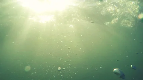 Underwater view and water layer view together Stock Footage 57768644
