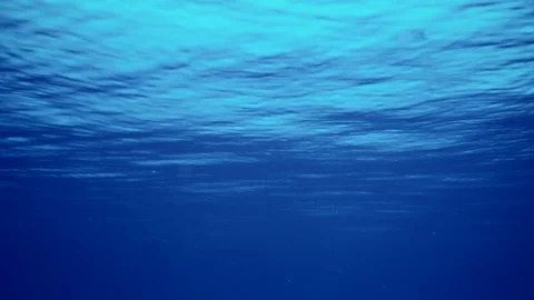 Underwater view of blue water surface during calm, Slow motion Stock Footage 247021100