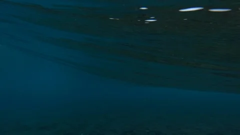 Underwater view of the breaking ocean wave. Stock Footage 107961962