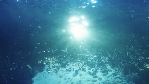Underwater view of bright sun rays piercing through the blue ocean surface... Stock Footage 341544217