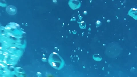 Underwater view of bubbles rising Stock Footage 313564505