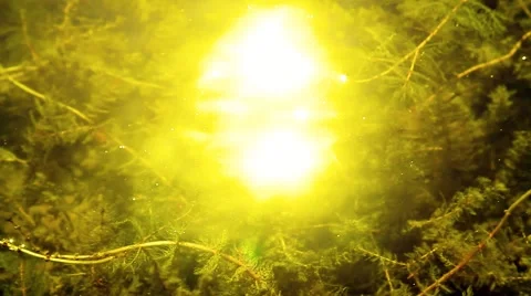 Underwater view. Camera view  through the surface of the water. Stock-Footage 53317684