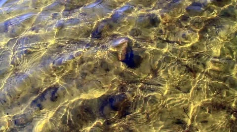 Underwater view. Camera view  through the surface of the water. Video stock 53319963