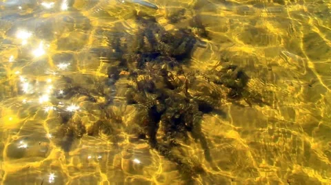 Underwater view. Camera view  through the surface of the water. 스톡 동영상 53320771