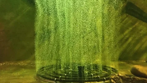 Underwater view of a circular aeration diffuser releasing a dense stream of.. Stock Footage 343114921
